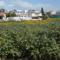 Plot in Sotiros 715 m2 - Larnaca