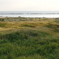 2199 m2 seafront land In Pervolia